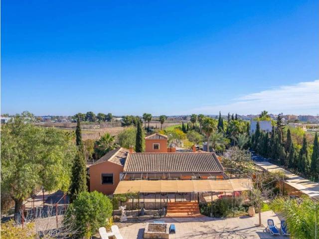 Terreno en Venta en Catral