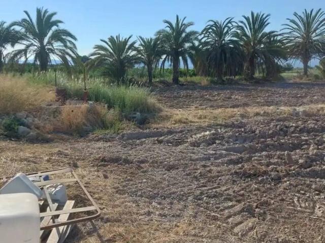 Terreno en Venta en Catral