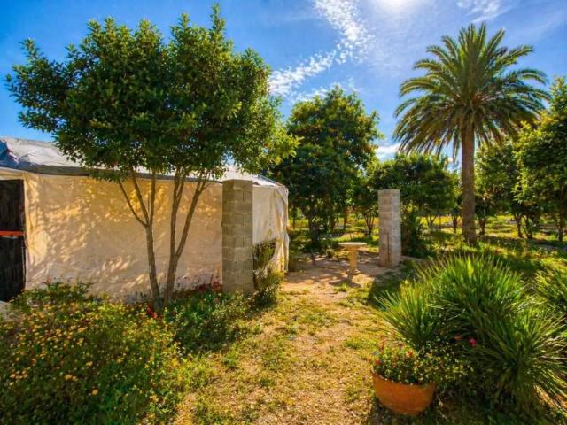 Terreno en Venta en Catral