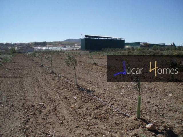 Terreno en Venta en Caudete