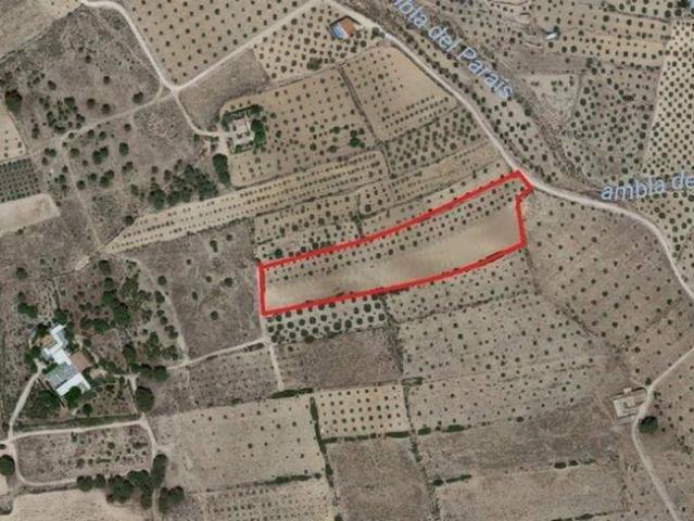 Terreno en Venta en Caudete