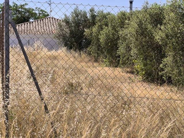 Terreno en Venta en Caudete
