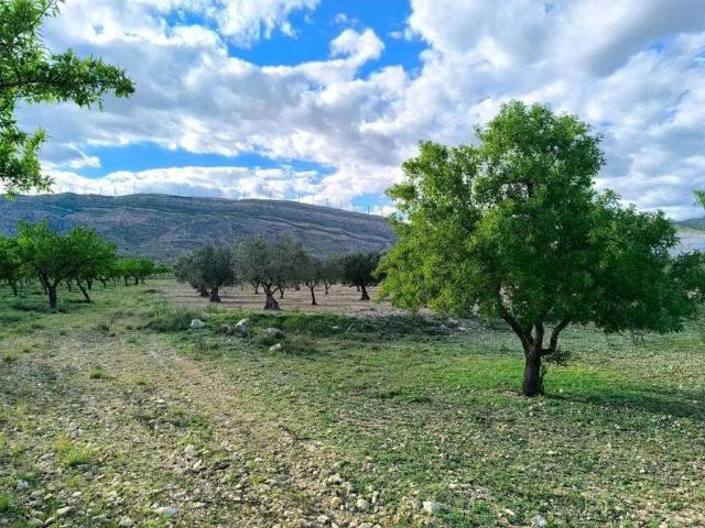 Terreno en Venta en Caudete