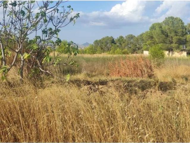 Terreno en Venta en Caudete