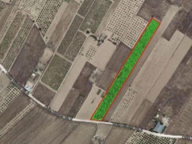 Terreno en venta en Caudete, Las Suertes