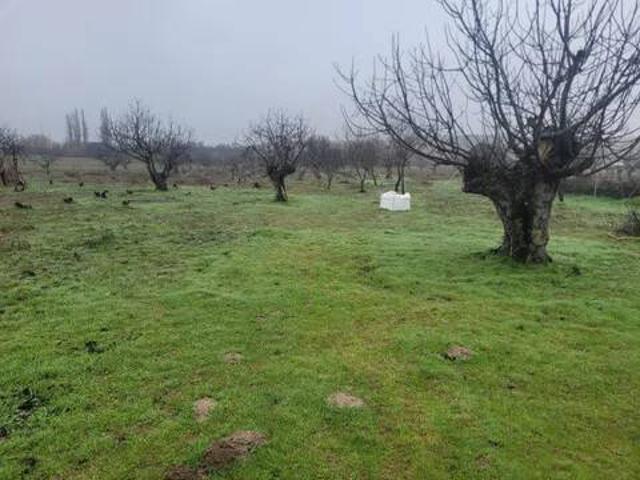 Terreno en Venta en Cazalegas
