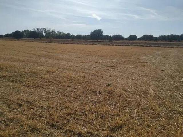 Terreno en Venta en Cazalegas
