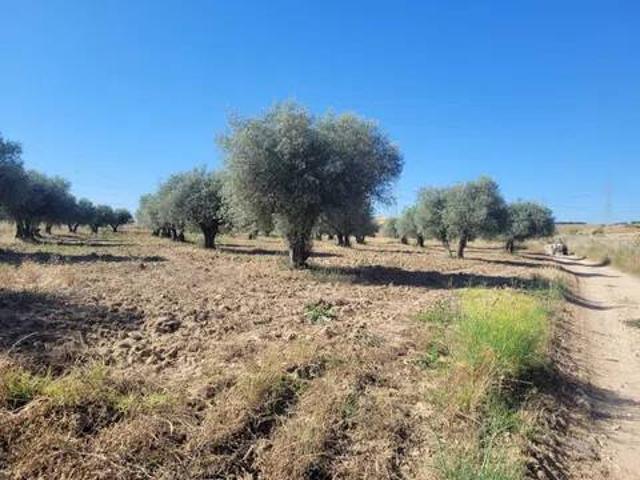 Terreno en Venta en Cazalegas
