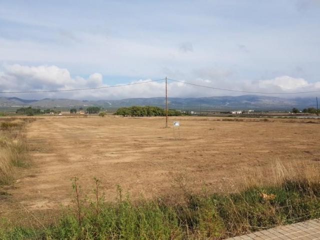 Terreno en venta en Cañada, 03409