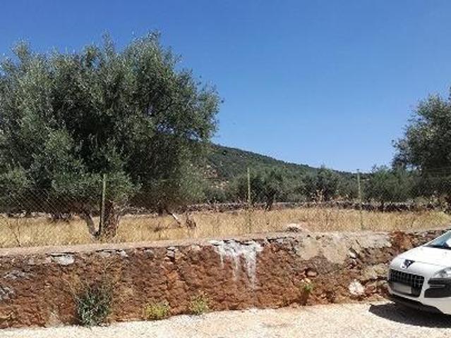 Terreno en venta en Cañaveral de León, CaÑaveral de leon