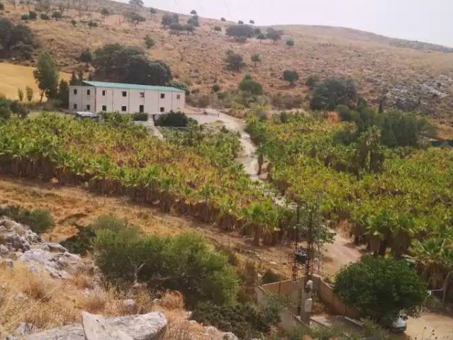 Terreno en Venta en Cañete La Real