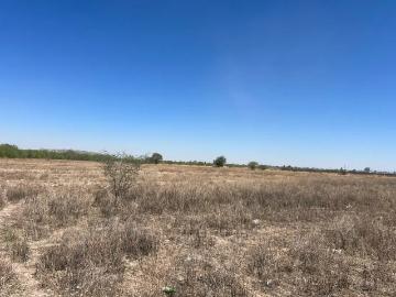 TERRENO EN VENTA EN CD LERDO, DGO