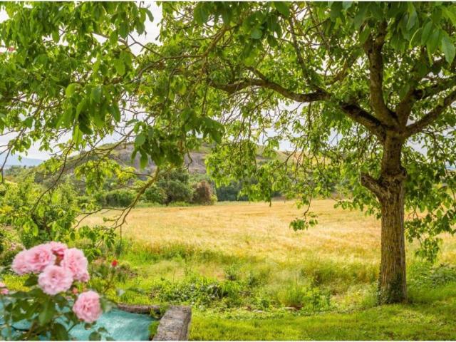 Terreno en Venta en Cendea de Olza Oltza Zendea