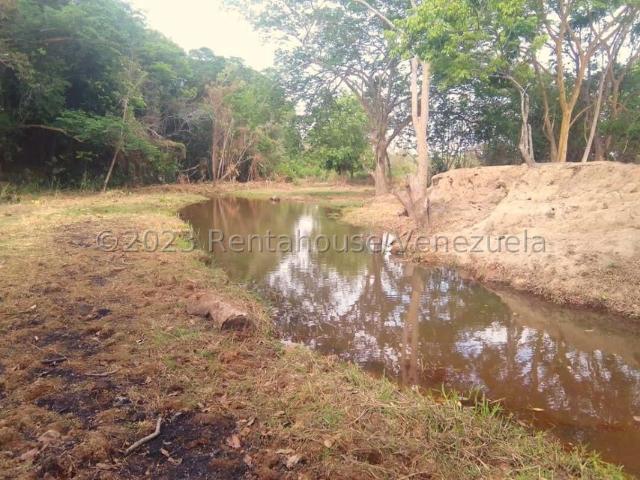 Terreno en Venta en Centro, El Tigre