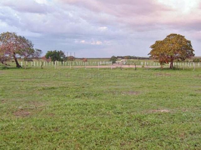Terreno en Venta en Centro, El Tigre