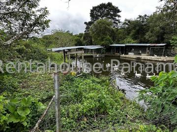 Terreno en Venta en Cerro Punta, Tierras Altas