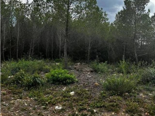 Terreno en Venta en Cervelló