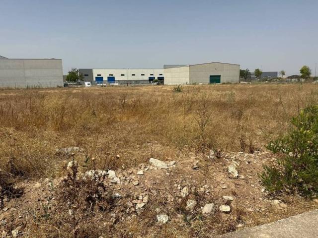 Terreno en Venta en Cervera