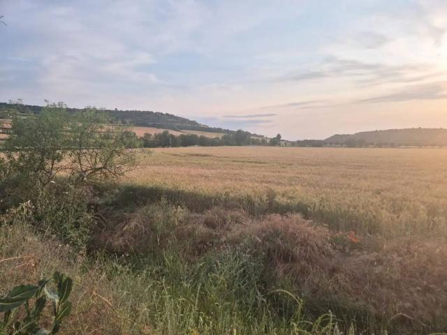 Terreno en Venta en Cervera
