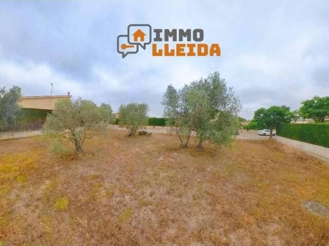 Terreno en Venta en Cervera