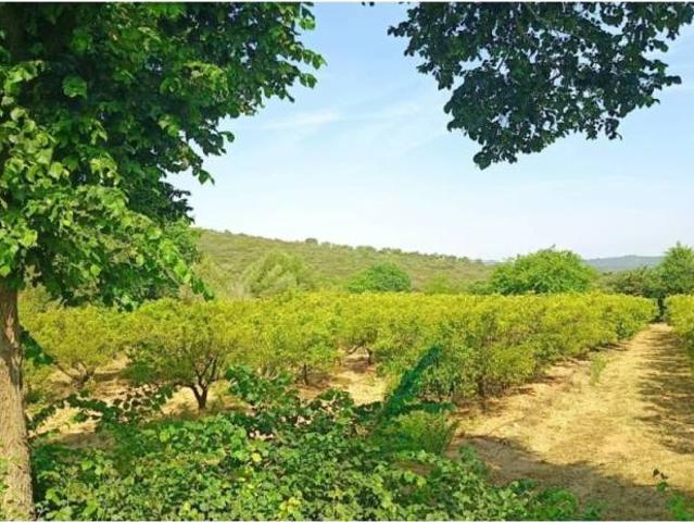 Terreno en Venta en Cervera del Maestre
