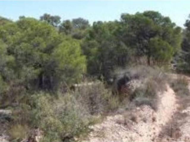 Terreno en Venta en Cervera del Maestre