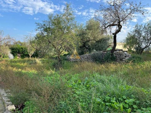 Terreno en Venta en Cervera del Maestre
