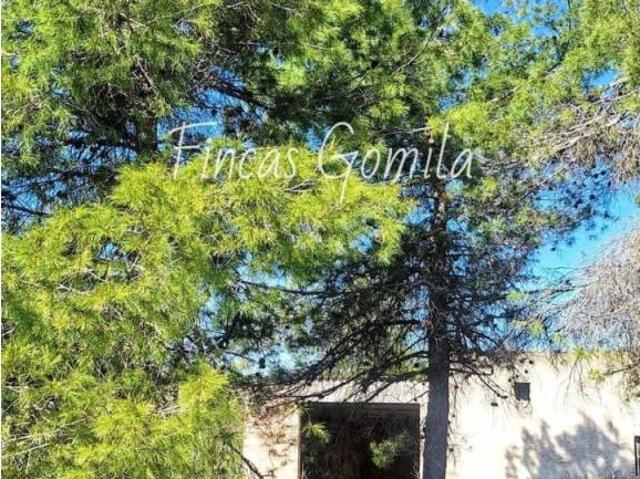 Terreno en Venta en Cervià de Les Garrigues