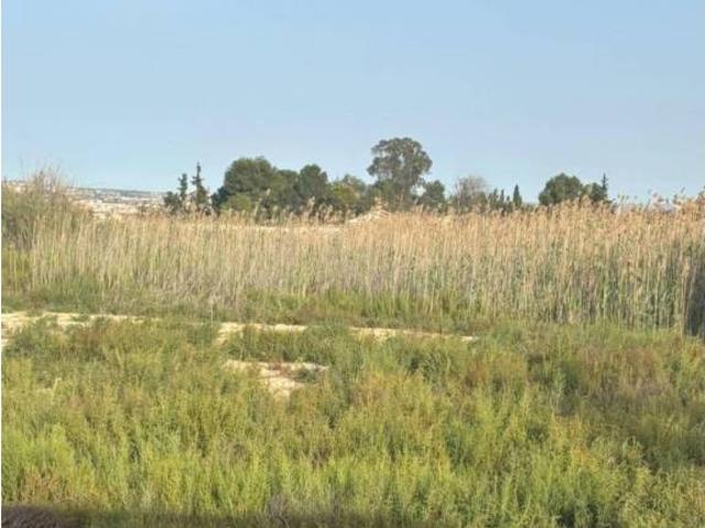 Terreno en Venta en Ceutí