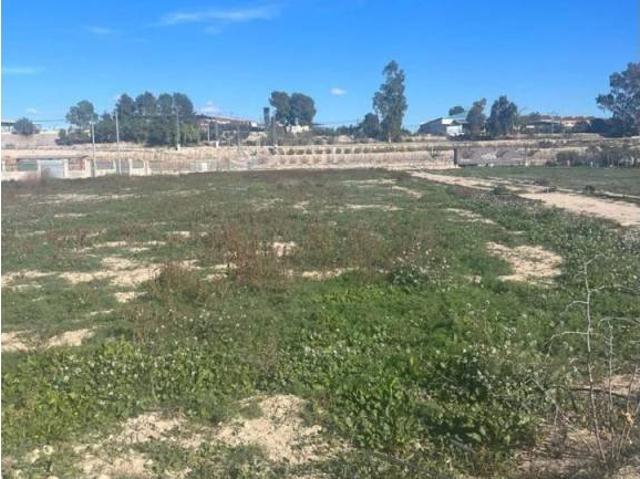 Terreno en Venta en Ceutí