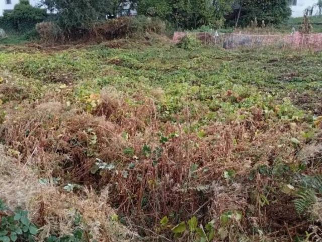 Terreno en Venta en Chantada