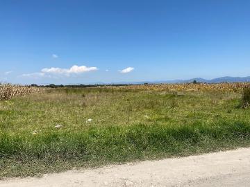 Terreno en Venta en Chapultepec, Chapultepec, Estado de México
