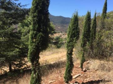 TERRENO EN VENTA EN CHAPA DE MOTA