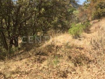 TERRENO EN VENTA EN CHAPA DE MOTA