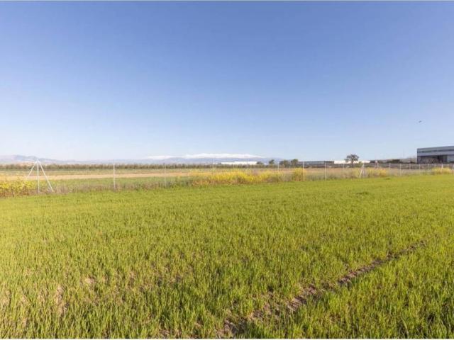 Terreno en Venta en Chauchina