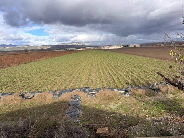 Terreno en Venta en Chauchina