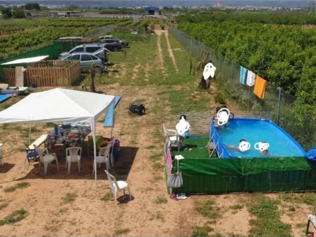 Terreno en Venta en Cheste