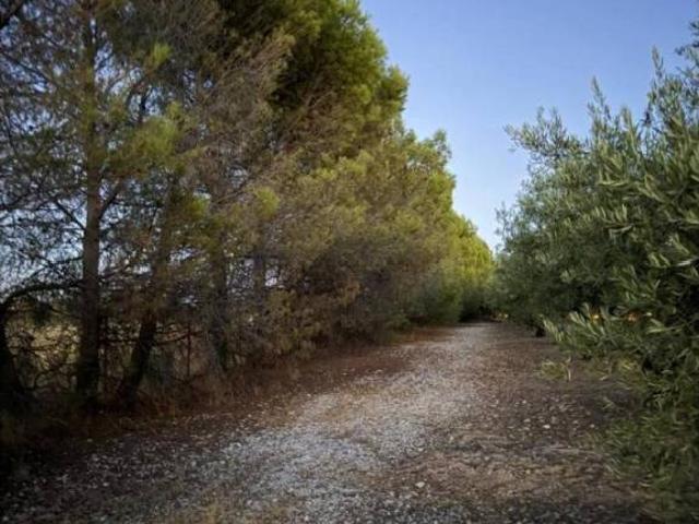 Terreno en Venta en Chinchón