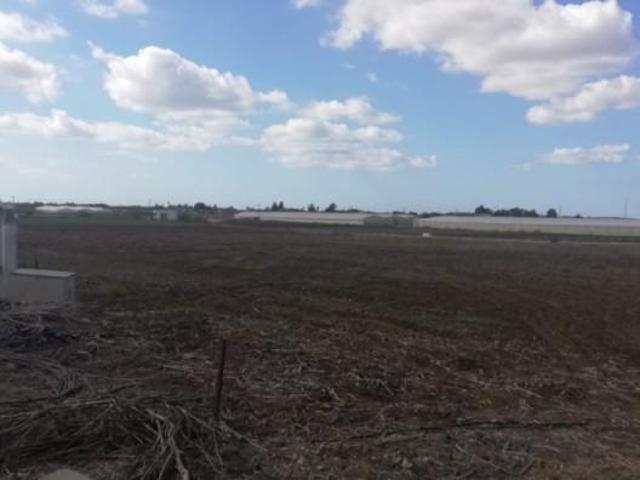 Terreno en venta en Chiclana de la Frontera, Pago del humo