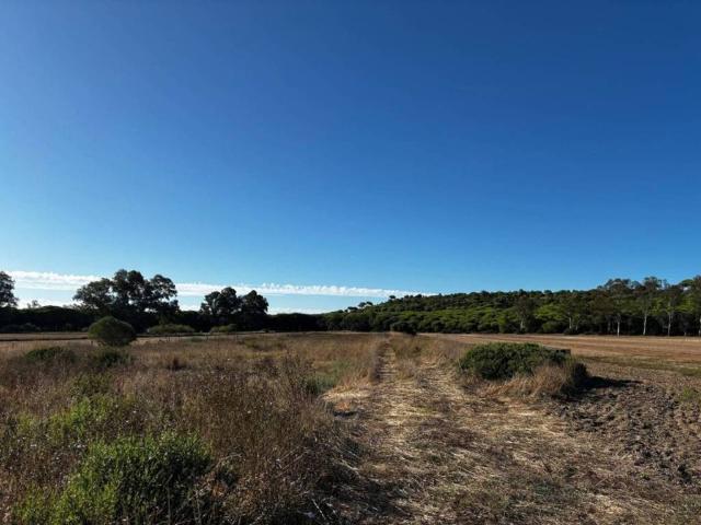 Terreno en Venta en Chiclana de la Frontera