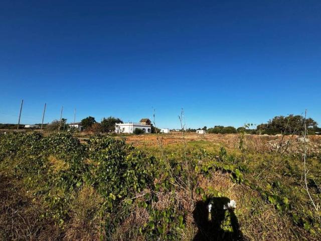 Terreno en Venta en Chiclana de la Frontera
