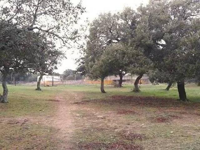 Terreno en Venta en Chiclana de la Frontera