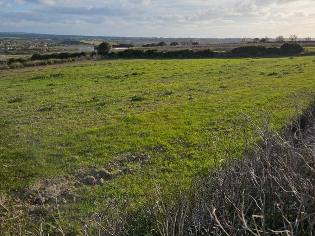 Terreno en Venta en Chiclana de la Frontera