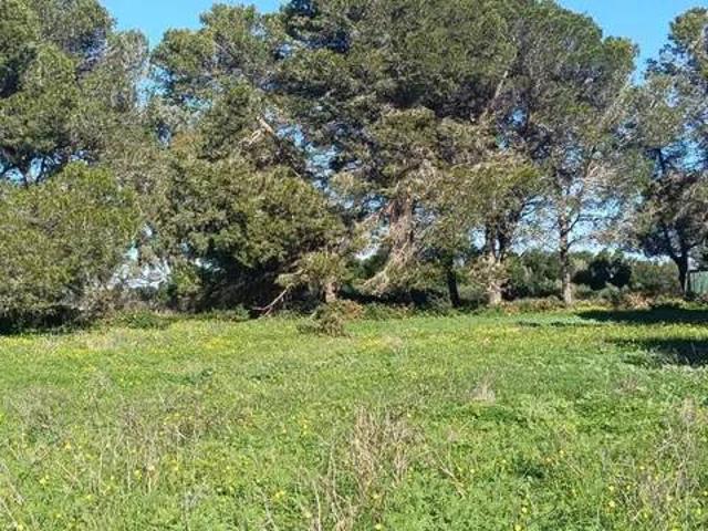 Terreno en Venta en Chiclana de la Frontera
