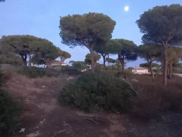 Terreno en Venta en Chiclana de la Frontera