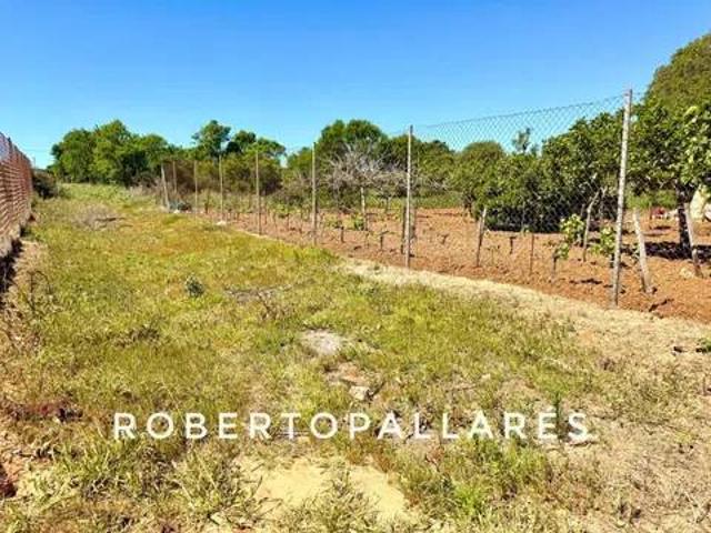 Terreno en Venta en Chiclana de la Frontera