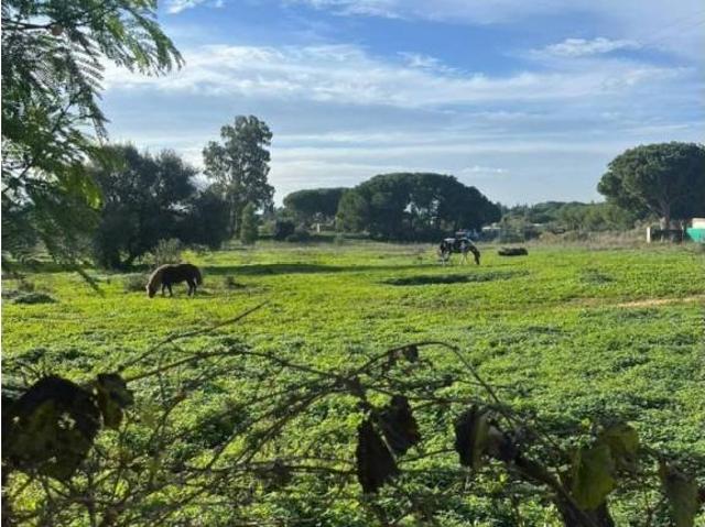 Terreno en Venta en Chiclana de la Frontera