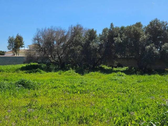 Terreno en Venta en Chiclana de la Frontera