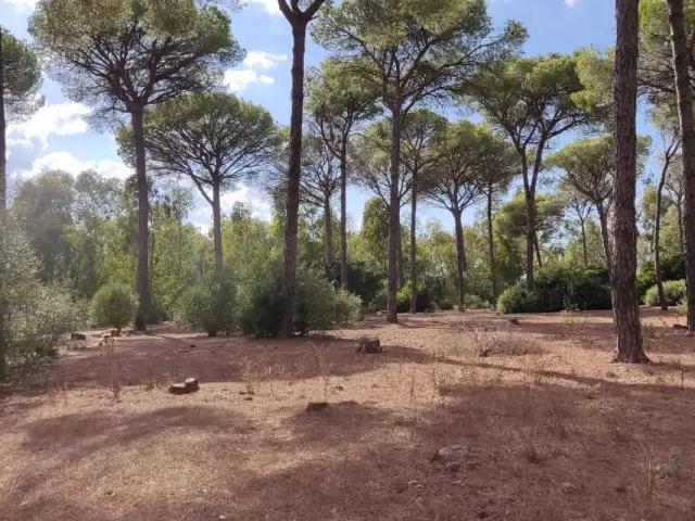 Terreno en Venta en Chiclana de la Frontera