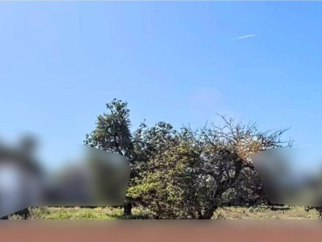 Terreno en Venta en Chiclana de la Frontera